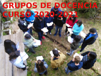 grupo docencia 2020