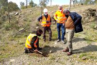 El grupo, durante la plantación