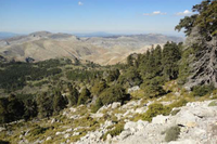Una imagen de la Sierra de las Nieves, objeto de estudio de este proyecto