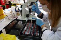 Una investigadora trabajando en un laboratorio de la Facultad de Ciencias