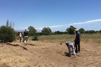 Una imagen de las excavaciones en el Cerro del Villar. Foto de la investigadora de la UMA Elisa Ogaya