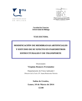 Tesis Virginia FAI