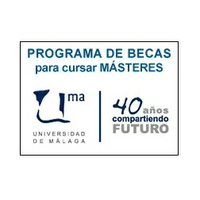 Becas AUIP