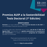 Premios AUIP Sostenibilidad (TESIS)