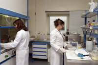 Dos investigadoras de la UMA trabajan en un laboratorio