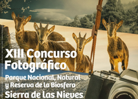Cartell 700 concurso fotografia PNSierra Nieves 2022