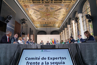 Reunión del Comité de Expertos ayer en el Palacio de San Telmo, presidida por el Juanma Moreno, presidente de la Junta 