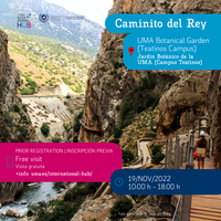 Caminito del rey