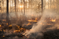 Incendio