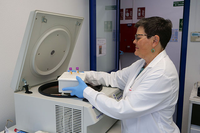 La investigadora María José Ariza, una de las autoras de este estudio, trabajando en el Laboratorio de Lípidos y Arteriosclerosis