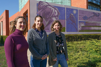 María Fernanda Lara, Ingrid Mauerer y Fabiana Csukasi, investigadoras Emergia de la UMA