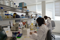 Investigadoras trabajando en un laboratorio del IHSM