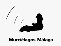 MURCIÉLAGOS