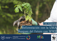 Reforestación con la UMA