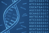 El secuenciamiento del ADN es un paso fundamental hacia la medicina personalizada