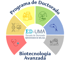 noticia1