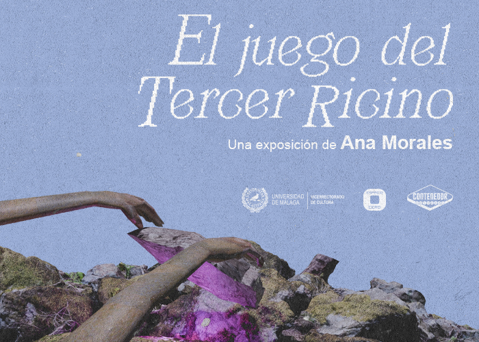 noticia1