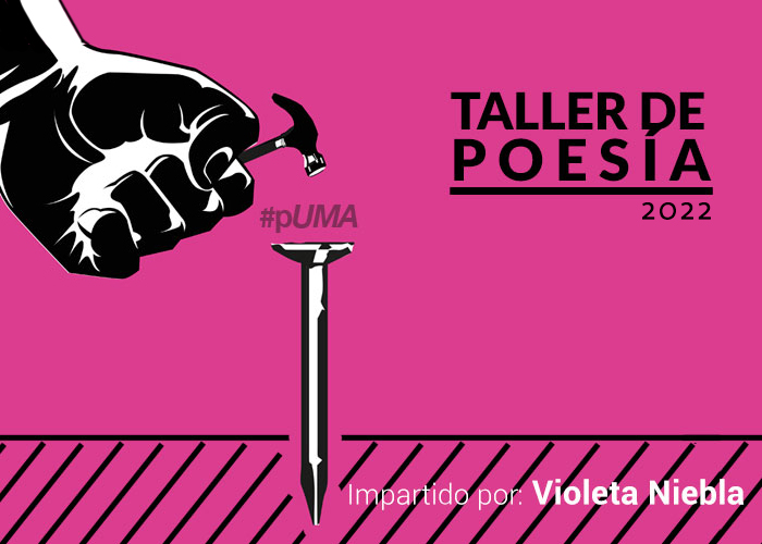 noticia1