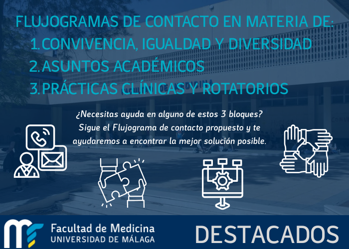 noticia1