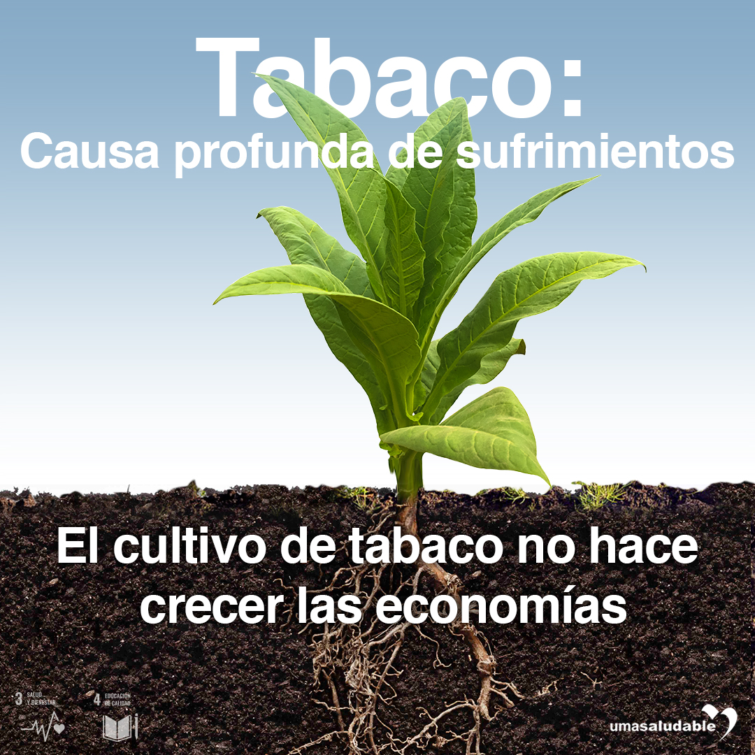 DiaTabaco2023_001