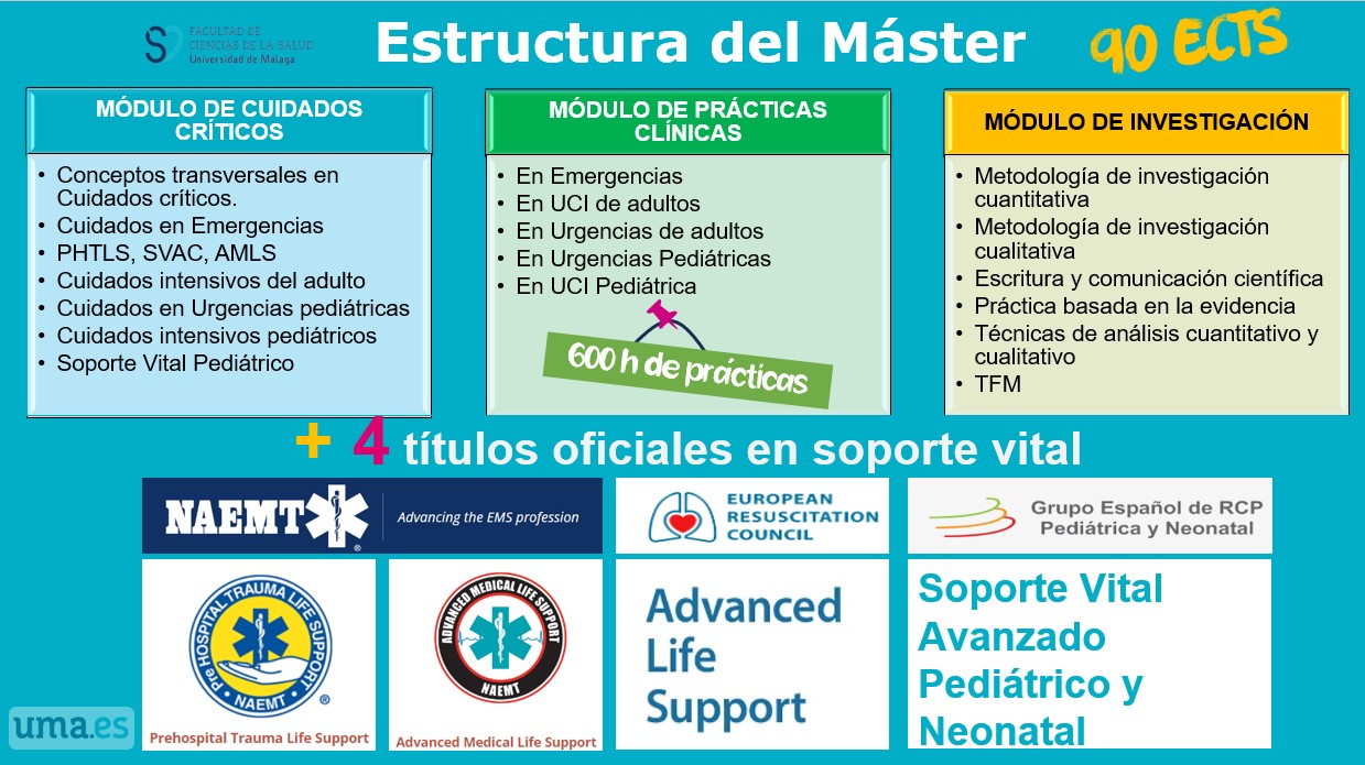 MS Enf CC Estructura