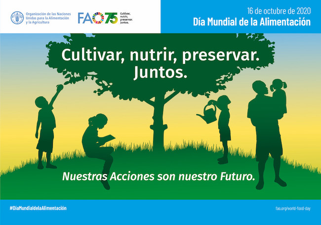 Día mundial de la alimentación: cuáles son los esenciales en un