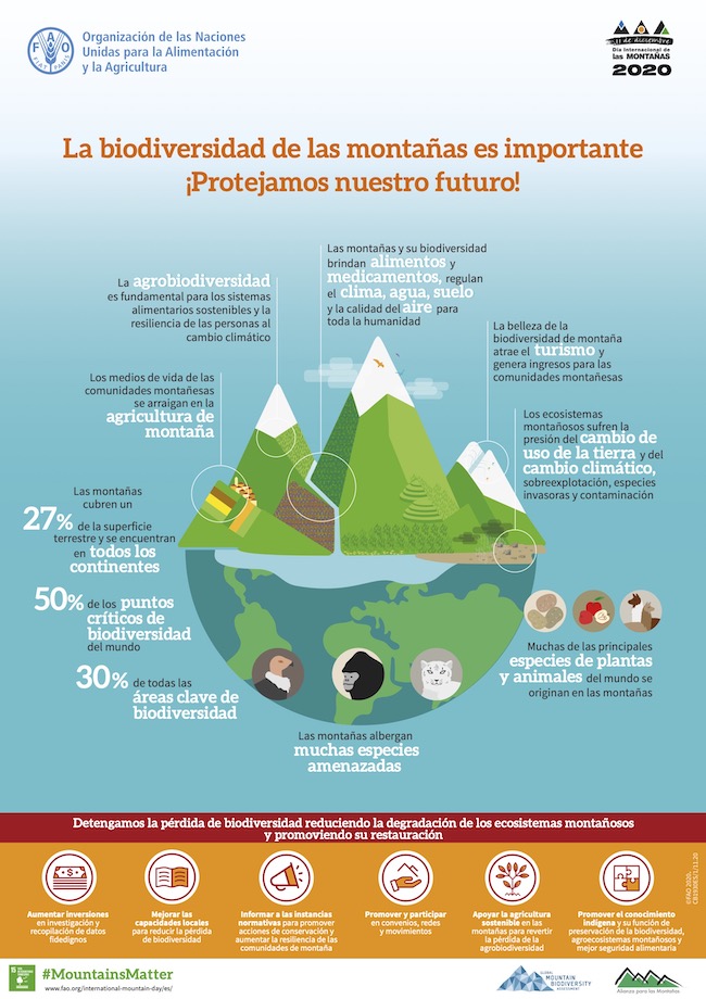 InfografiaMontañas2020