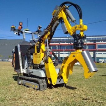 alacrane