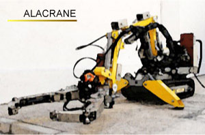 alacrane2