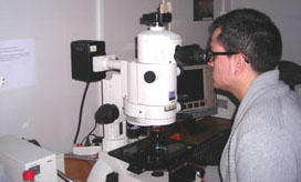 Investigacion Microbiologia web