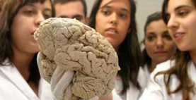 psgrado-medicina