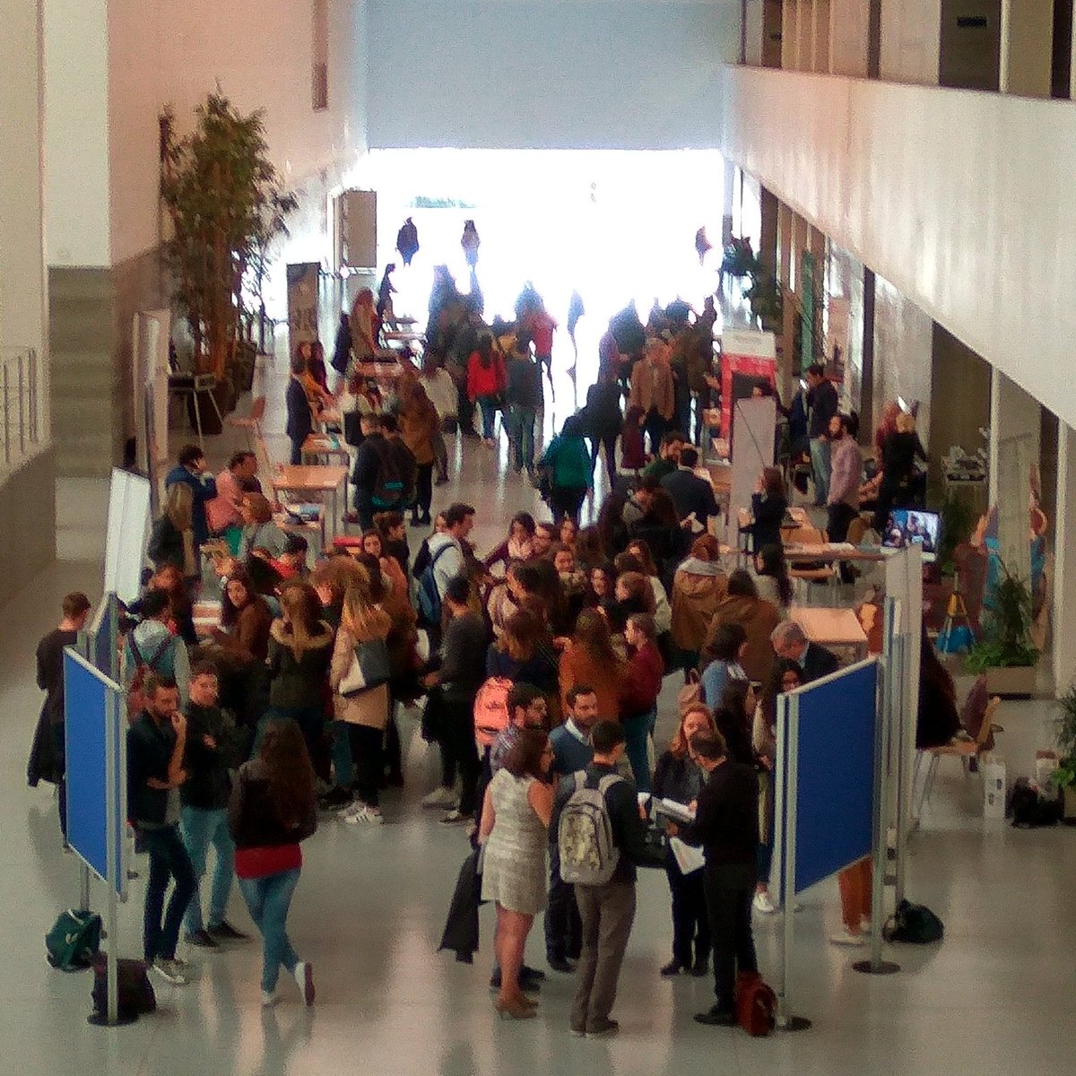 viiworkshop