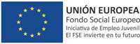 logo fse