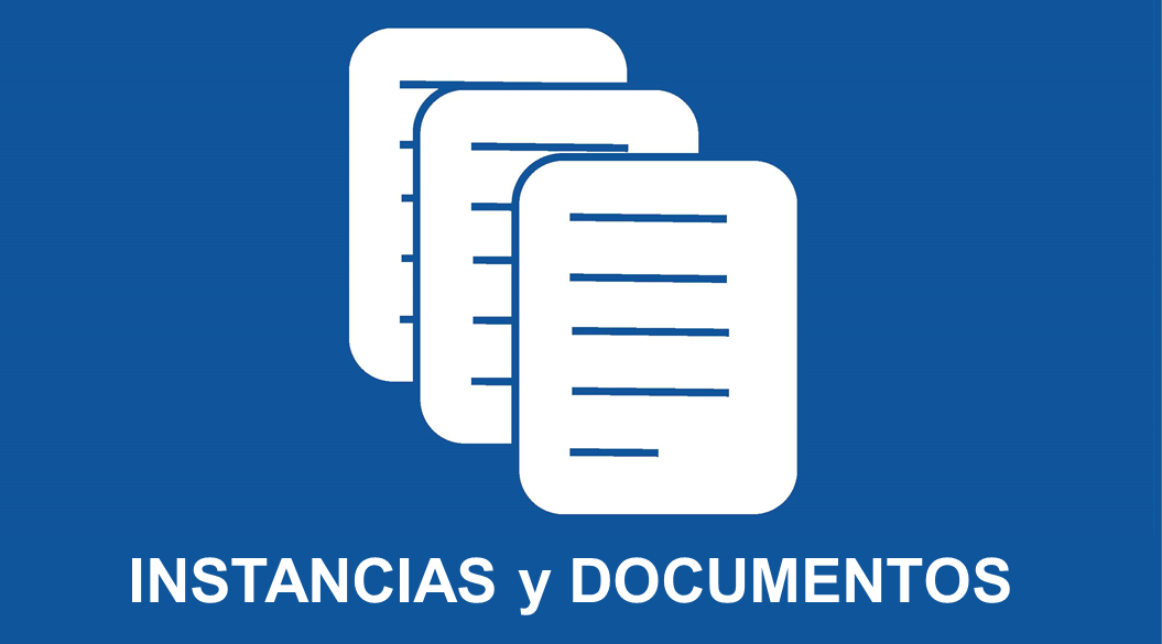 instancias y documentos1