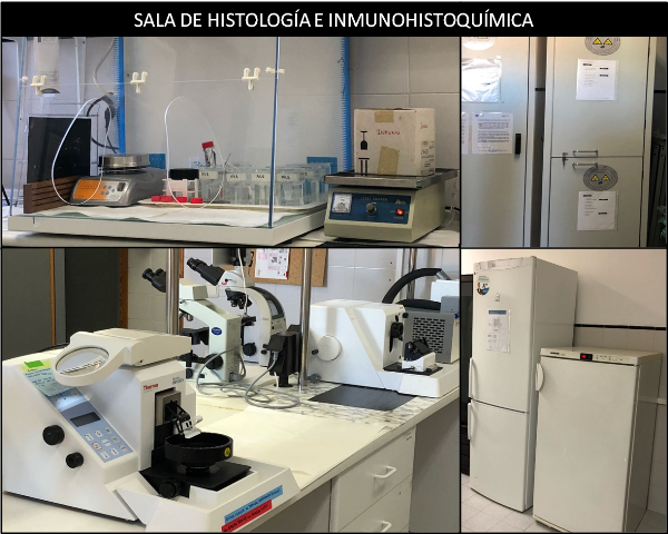 PsicobioLab1