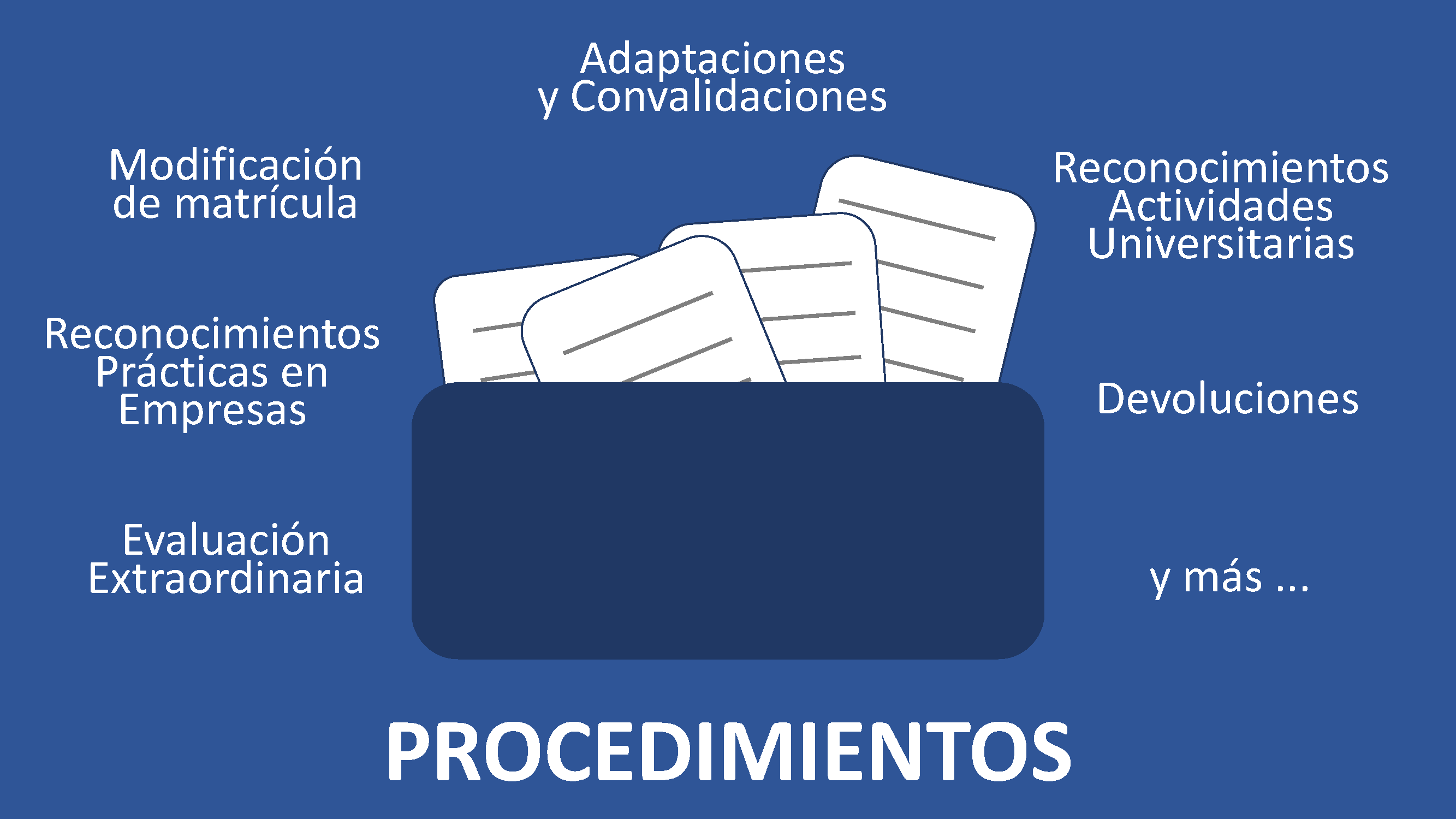 Información Procedimientos