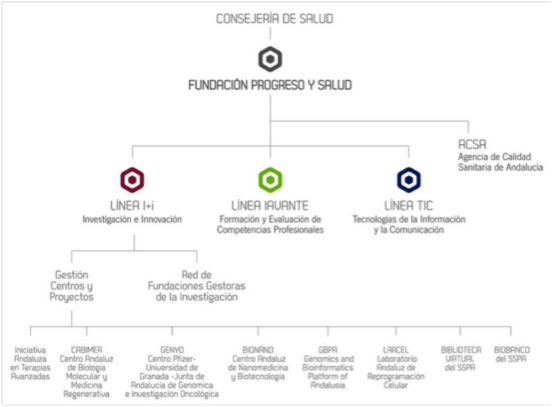 Organigrama Progreso y Salud