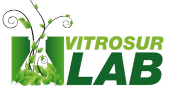 Vitrosur Lab 