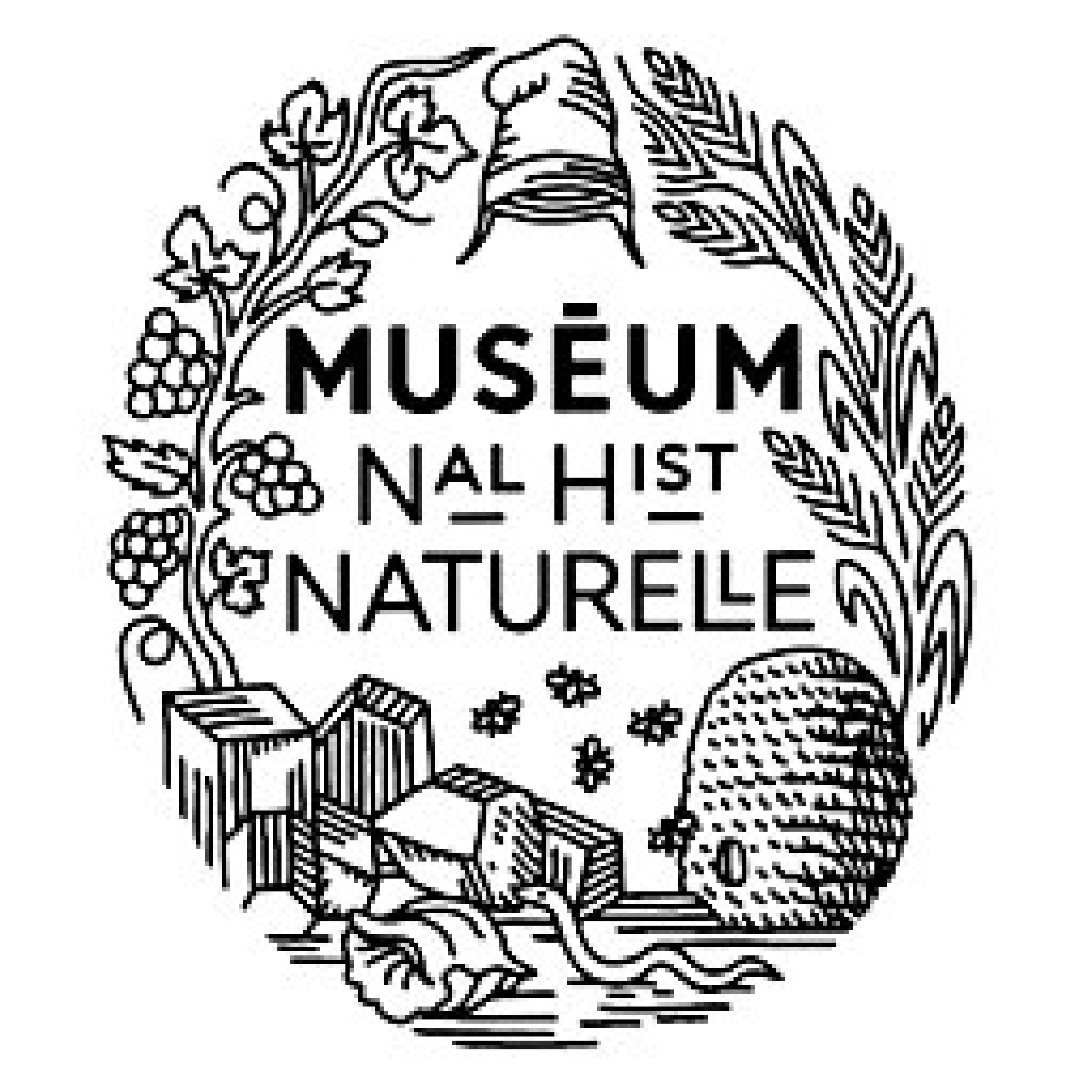 Museo historia natural Francia