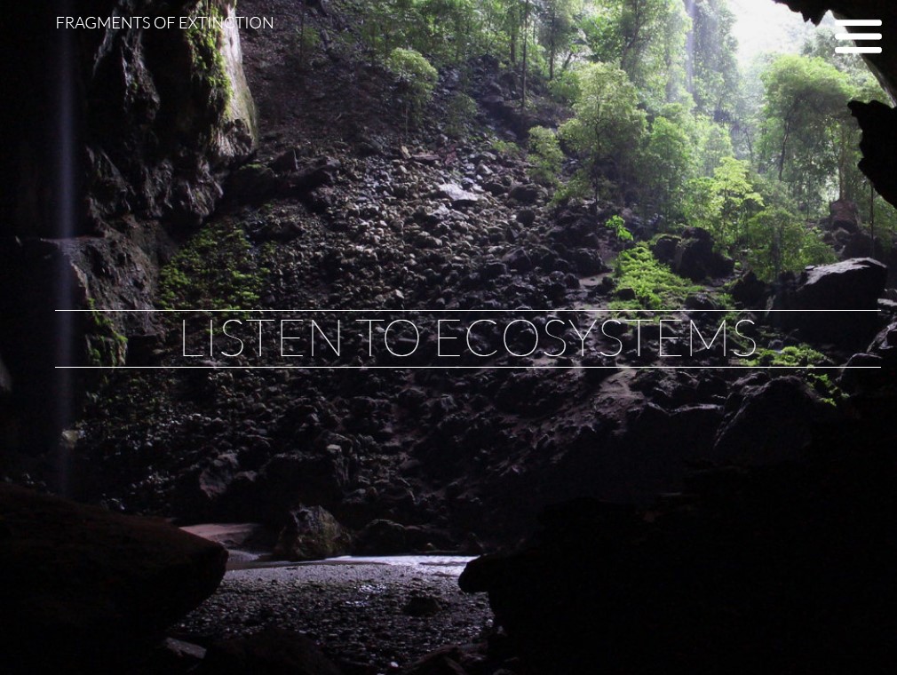 Escucha los últimos bosques tropicales del planeta